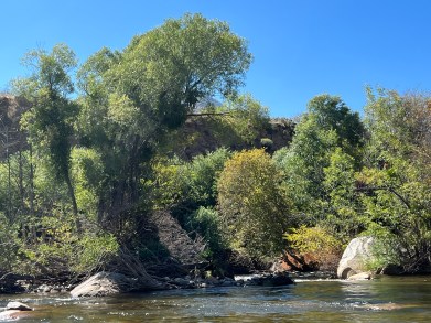 Grind Mode Versus Relaxation Mode