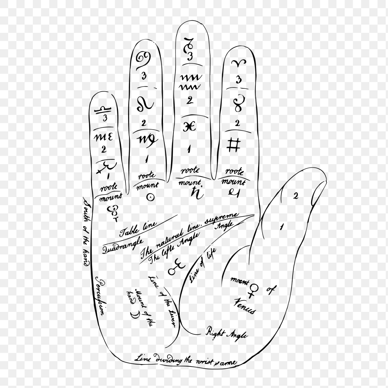 Palmistry hand png sticker, fortune-telling