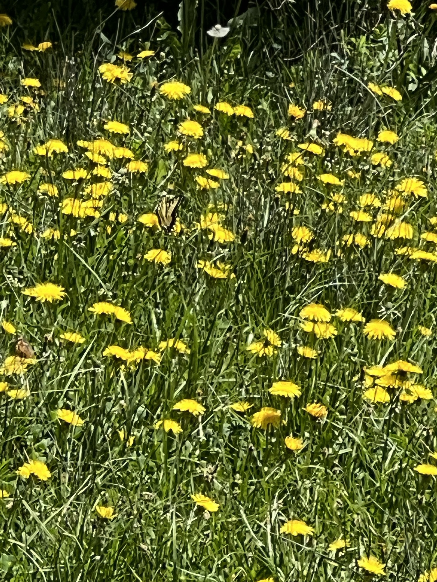 10 Things I Know Are True