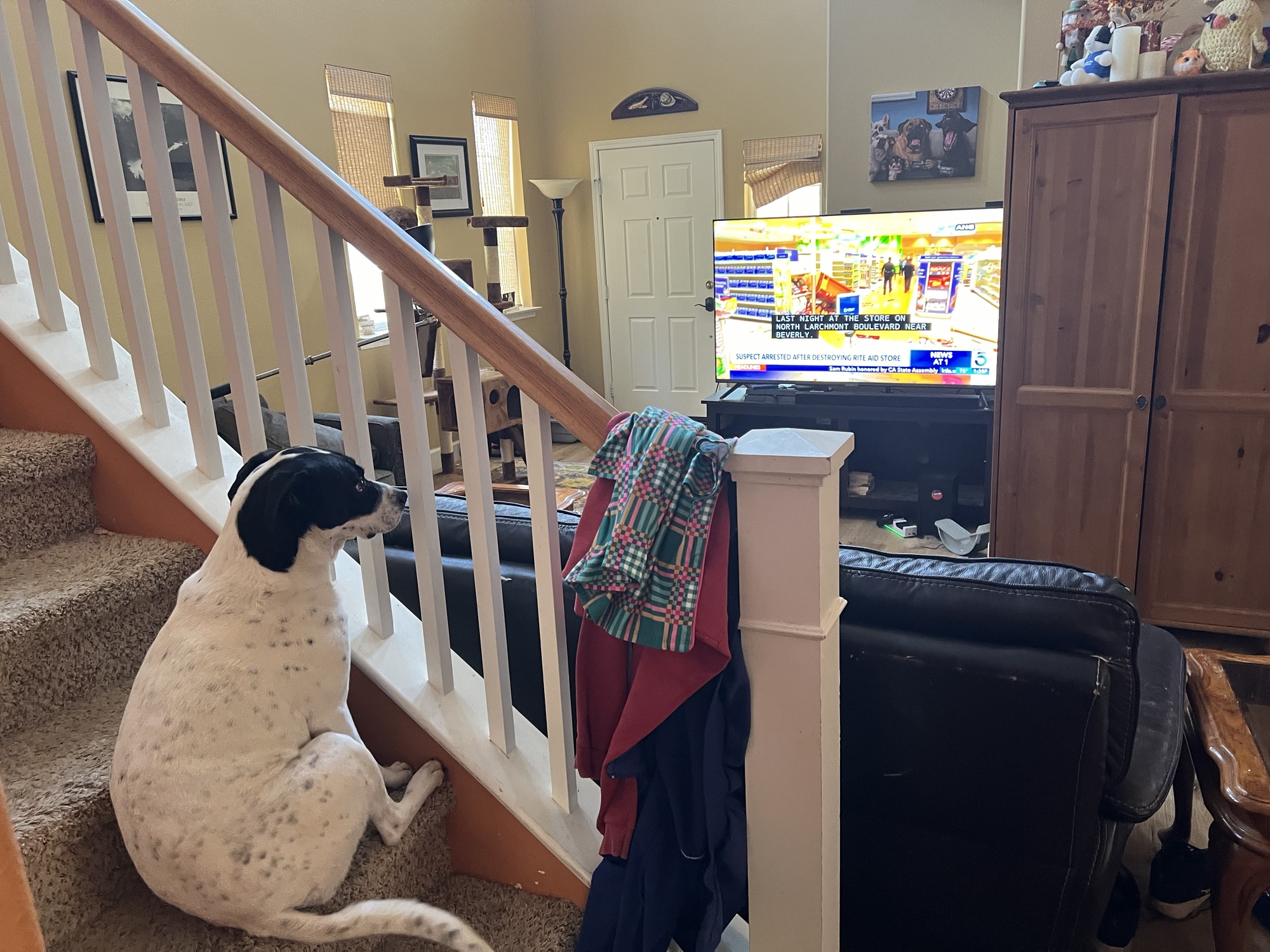 Living The Work at Home Life