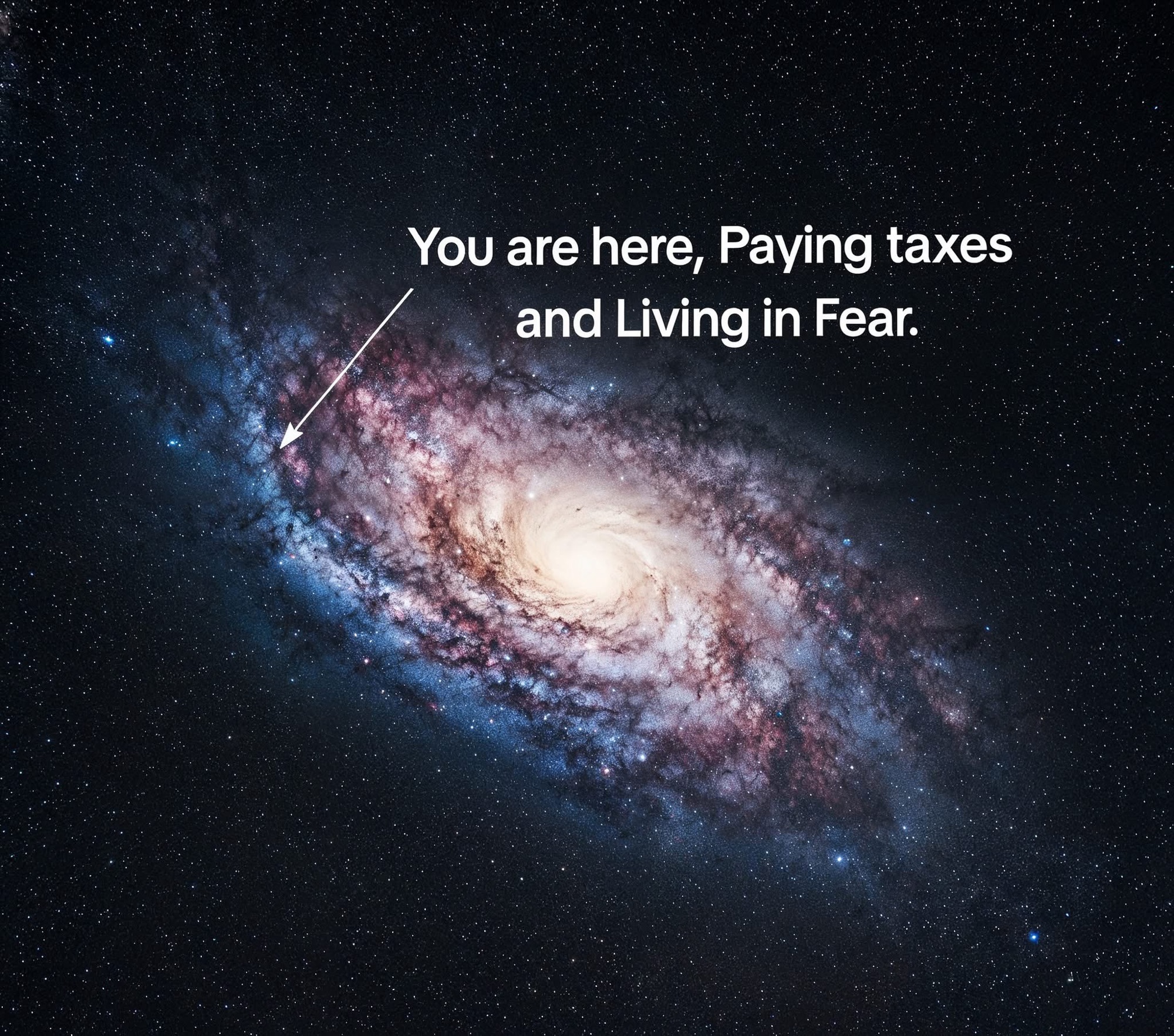 Intrinsic vs Extrinsic Learning